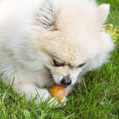 Scegli dentali vegani per cani - frutta divertente e salute orale (18 pezzi)