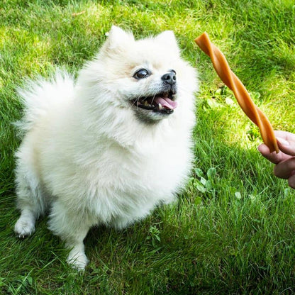 Becos dentários vegetarianos para cães - mistura frutada (15 peças) 🐶🍌🍑🍐