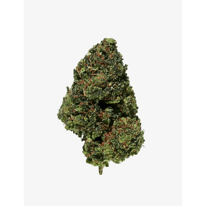 Hulk Berry RAF Delta｜Pot - Passeport Cases