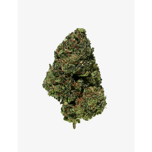 Hulk Berry RAF Delta｜Pot - Passeport Cases