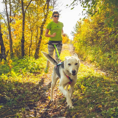 Laat Canicross met innandsis hondenschokken meer dan 15 kg honden