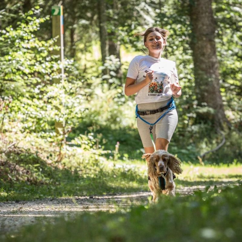 Trekker Inlandsis Canicoss Trandsis med dragkraft och optimal komfort