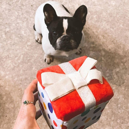 Interactive toy for dogs in plush - birthday gift 🐶 (Available in 2 sizes)