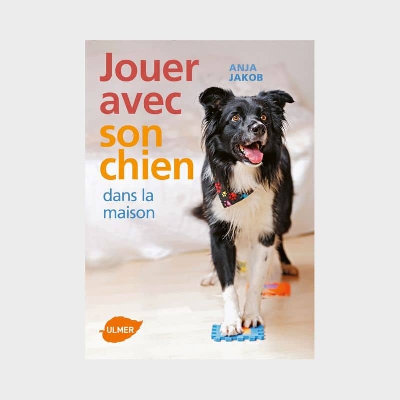 Jeux et activités pour chiens