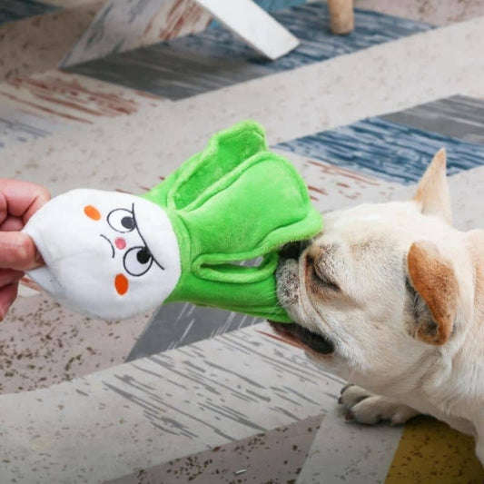 Dog enrichment toy - Interactive bok choy plush with treats