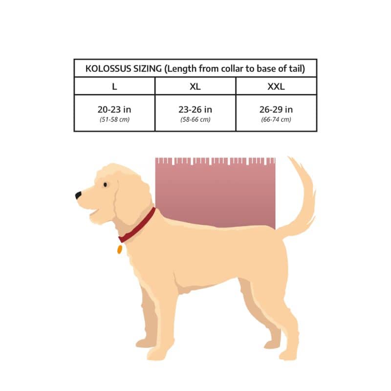 SAC À DOS DE TRANSPORT ET RANDONNÉE POUR GRAND CHIEN - KOLOSSUS NOIR