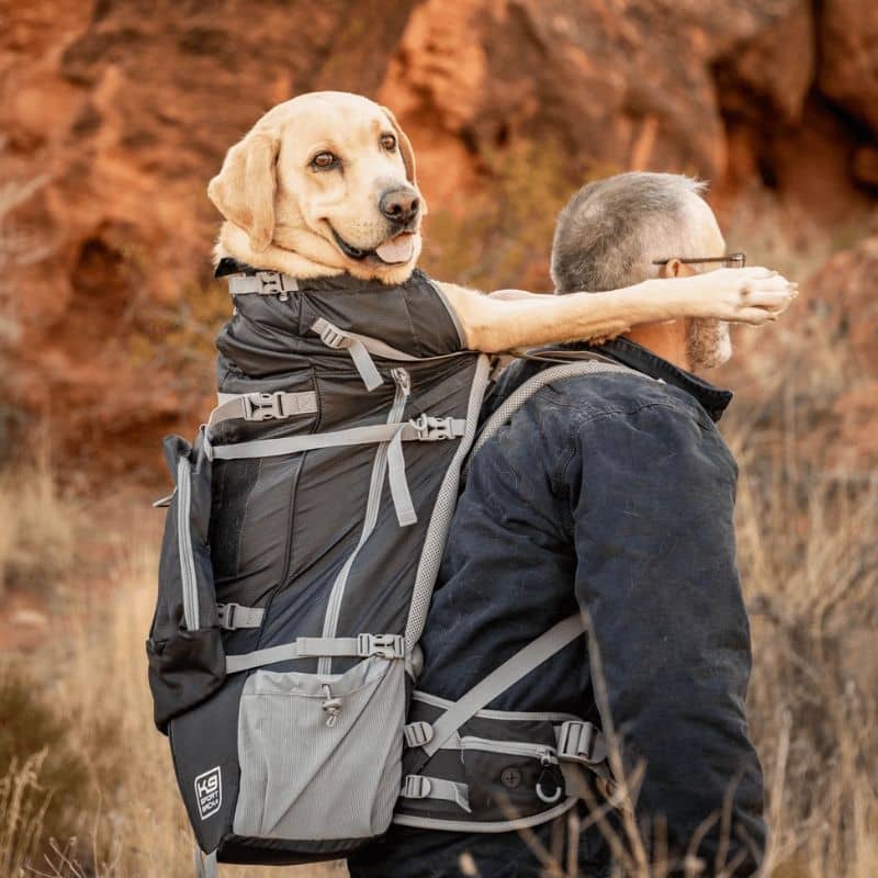 SAC À DOS DE TRANSPORT ET RANDONNÉE POUR GRAND CHIEN - KOLOSSUS NOIR