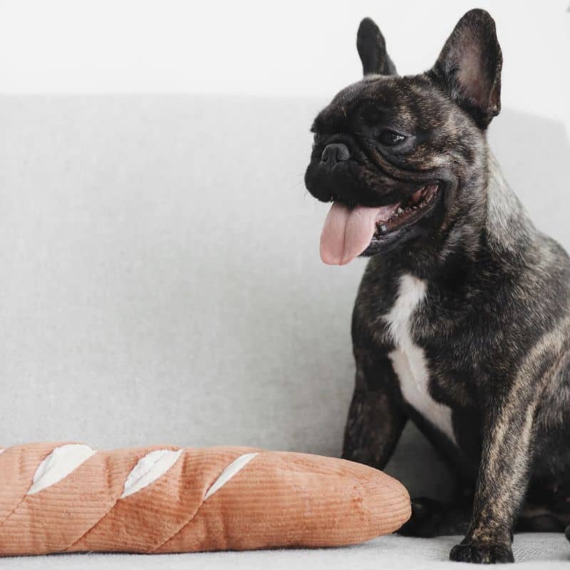 Offective Dog Occupation Toy - Bread Baguette med godis med godis