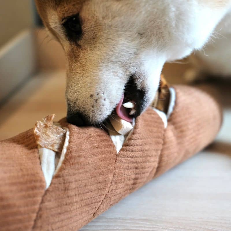 Offective Dog Occupation Toy - Bread Baguette med godis med godis