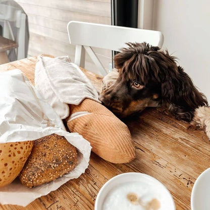 Offective Dog Occupation Toy - Bread Baguette med godis med godis