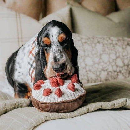 Game of occupation and excavation for dogs - "Berry Pie" raspberry pie 🥧