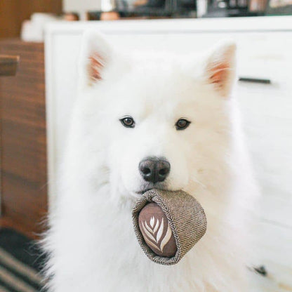 Dog occupation and excavation game - Coffee "Latte Pop" ☕