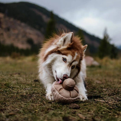 Animal Intellectual Excavation Toy - "GUU" plysch svamp (2 storlekar tillgängliga) 🍄