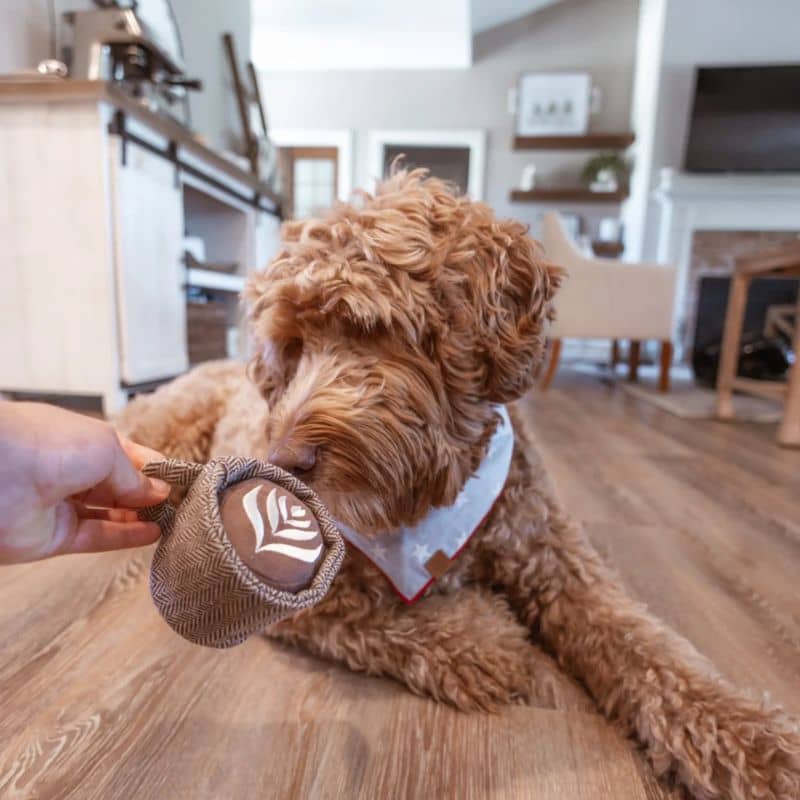 Dog occupation and excavation game - Coffee "Latte Pop" ☕