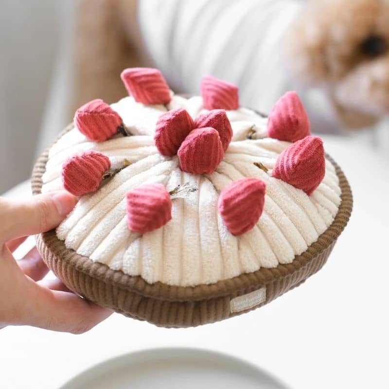 Game of occupation and excavation for dogs - "Berry Pie" raspberry pie 🥧