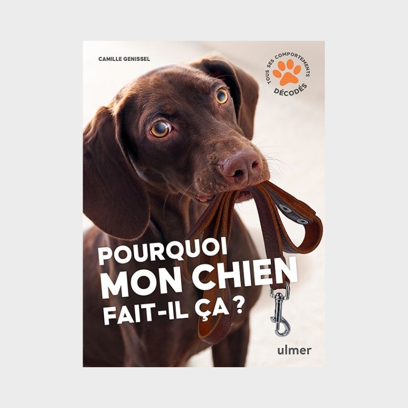 Comprendre le Comportement Canin