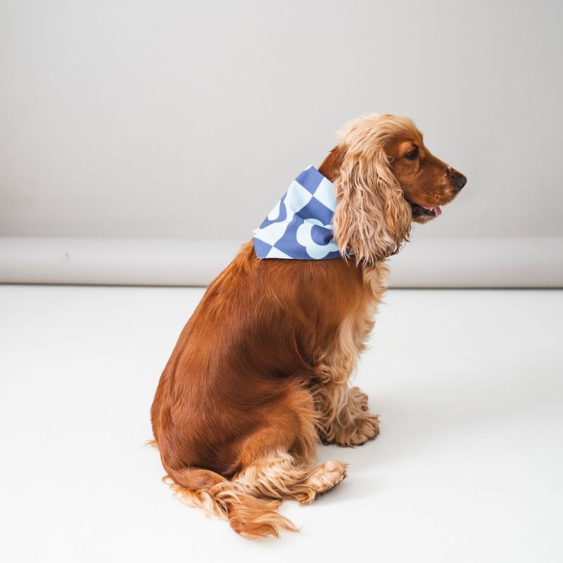 Bandana för hundar - retroblå blommor