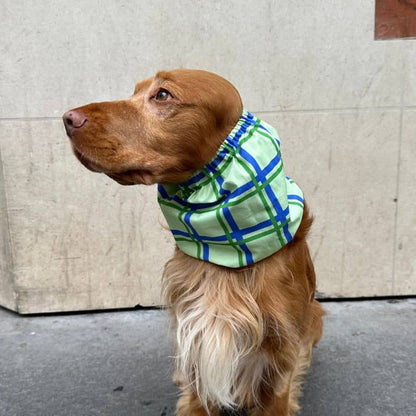 SNOOD POUR CHIEN EN COTON - CARREAUX LIGNE BLEUE & VERTE