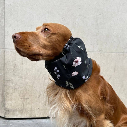 Cotton Dog Snood - Floral Dark