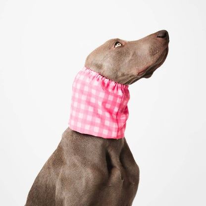 SNOOD POUR CHIEN EN COTON - CARREAUX ROSE ET FUCHSIA