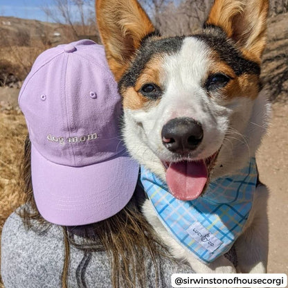 Muovi la mamma del cane "Cap - Must -Ave Accessory for Dog Mom