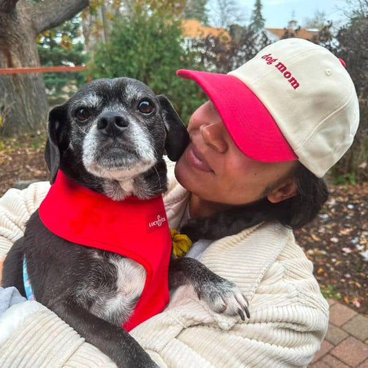 Two -Color Cap - Dog Mom (Red & Beige)