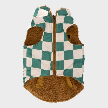 Reversible dog coat - Teddy & green checkerboard "You're a square"