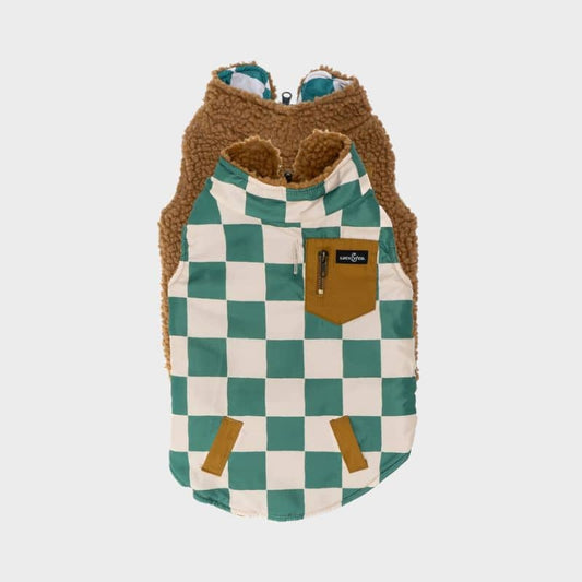 Reversible dog coat - Teddy & green checkerboard "You're a square"