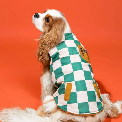 Reversible dog coat - Teddy & green checkerboard "You're a square"