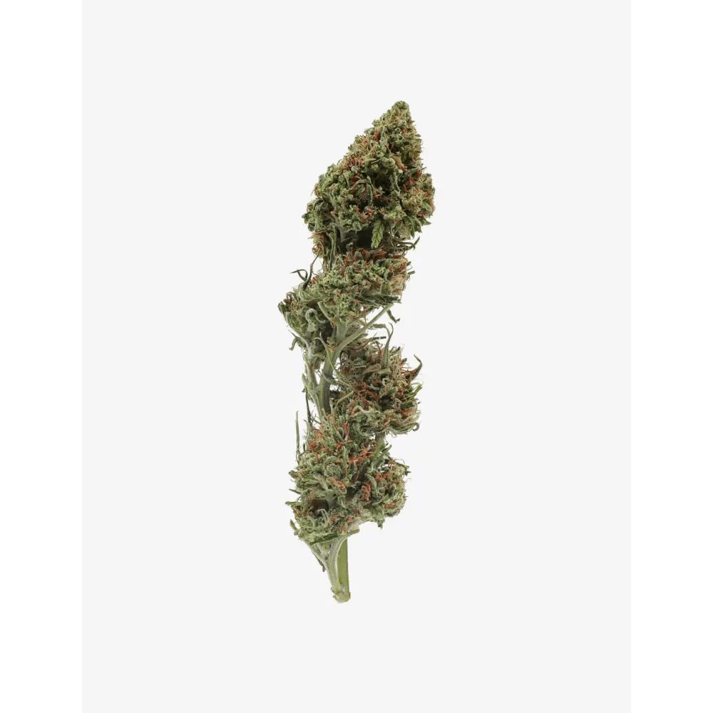 Mandarina CBD - Passeport Cases