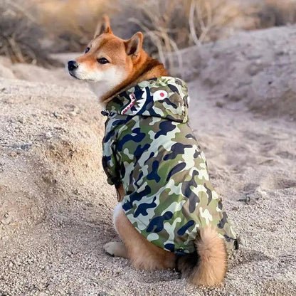 Manteau Chien Camouflage Militaire - Passeport Cases