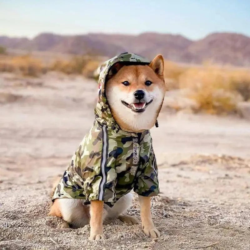 Manteau Chien Camouflage Militaire - Passeport Cases