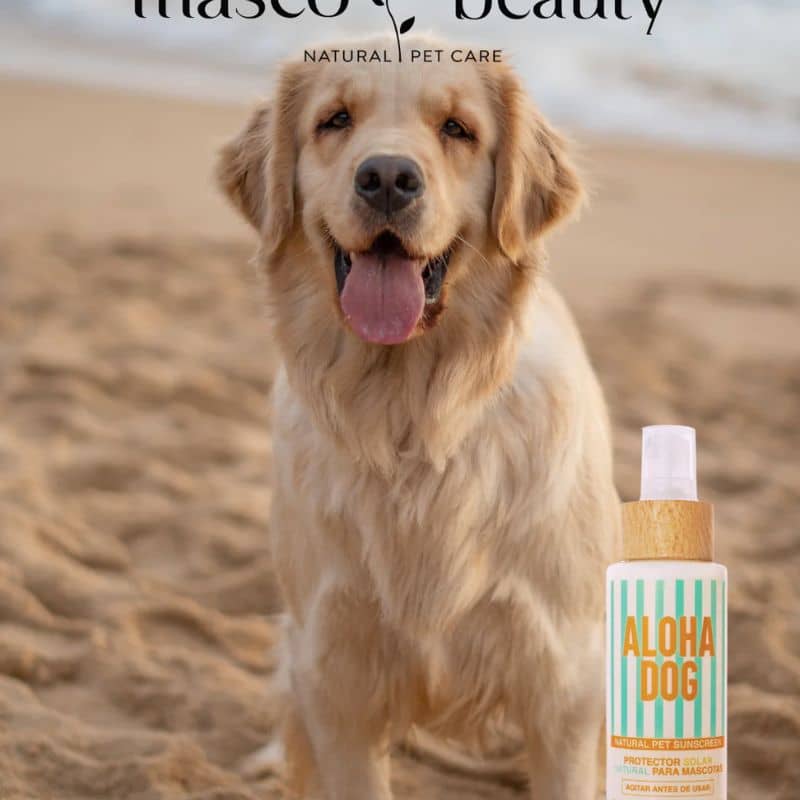 Aloha dog natural sunscreen for dog and cat