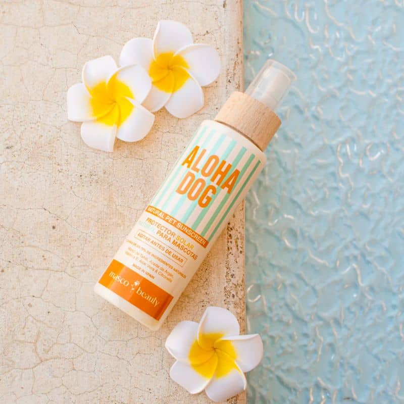 Aloha dog natural sunscreen for dog and cat