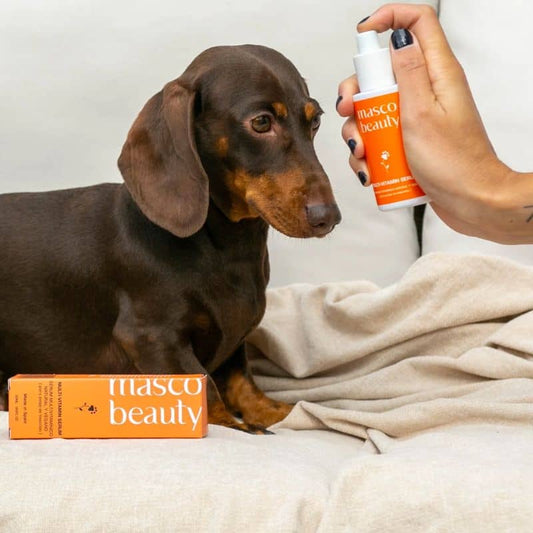 Sérum Multi-Vitamines Naturel pour le Soin de la Peau et du Pelage des Chiens et Chats