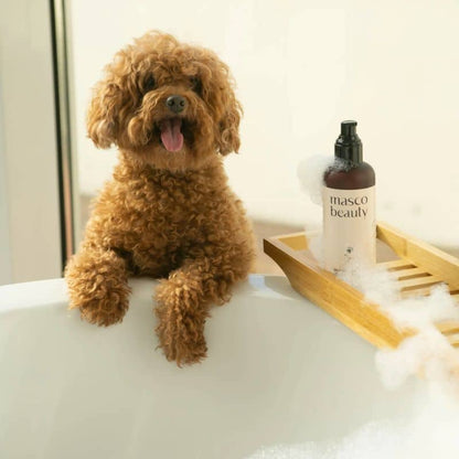 Shampoing Detox Naturel pour Chien et Chat à l'Aloe Vera – Peaux Sensibles, Sans Toxines