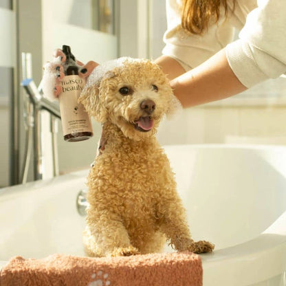 Shampoing Detox Naturel pour Chien et Chat à l'Aloe Vera – Peaux Sensibles, Sans Toxines