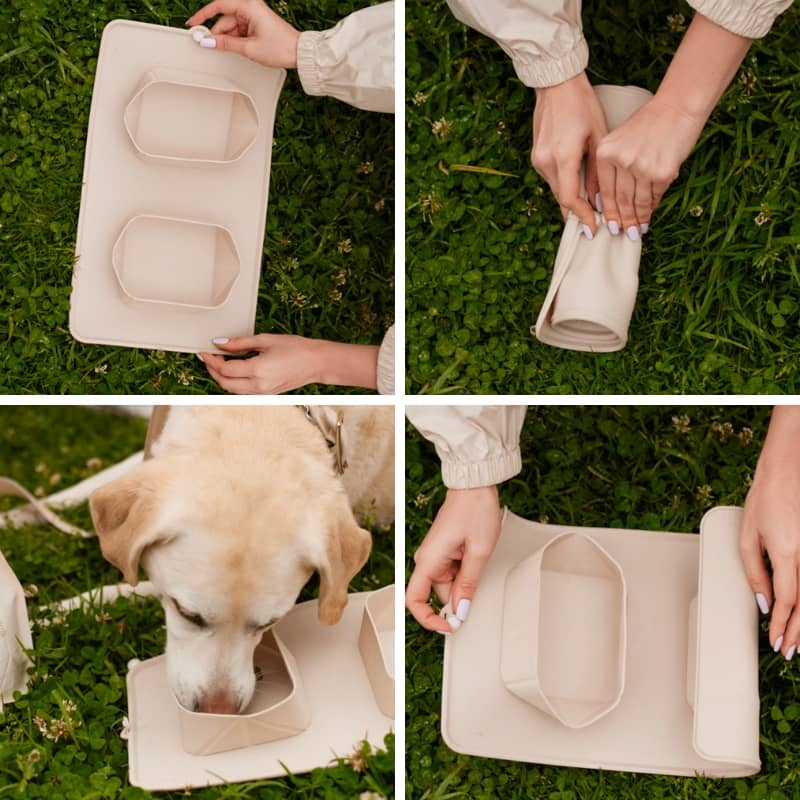 Foldable dog double bowl with carpet - 4 colors available