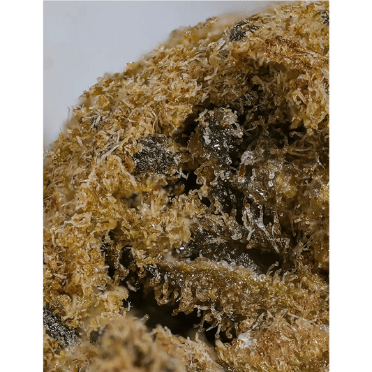 Moonrock's Babies CBD - Passeport Cases