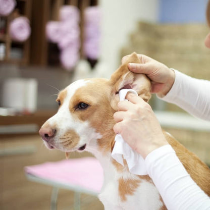 Orecchie per cani Cleansing Lozione - Biogenza dell'orecchio pulito - Trattamento dolce e naturale