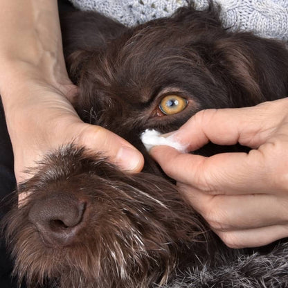 Lozione per la pulizia dei cani - Sweet Eye Care con acqua di rosa e mirtillo per biogenza