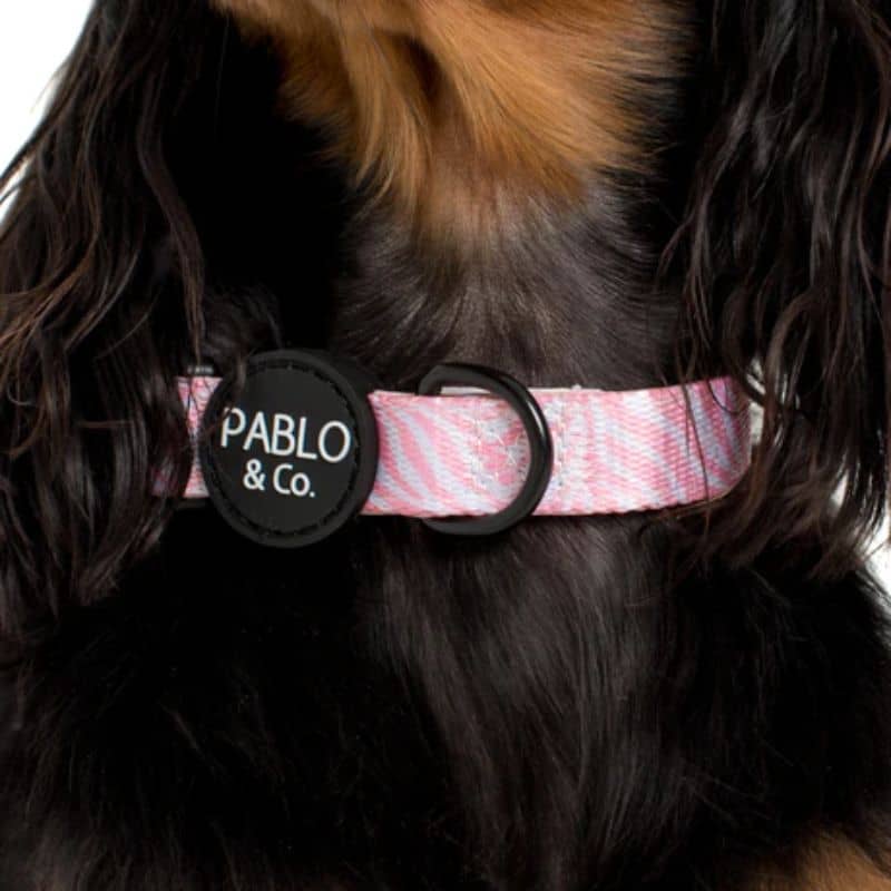 Dog necklace in pink zebra fabric - Comfort and style by Pablo & Co