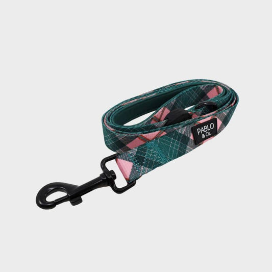 Partch's plaid's polyester lea for polyester dog with reinforced handle - Pablo & Co