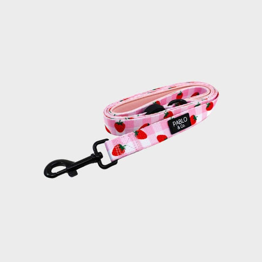 Fabric dog leash - Strawberry Fields 🍓