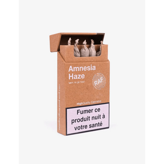 Paquet de 5 Pré-rolls Amnesia Haze RAF - Passeport Cases