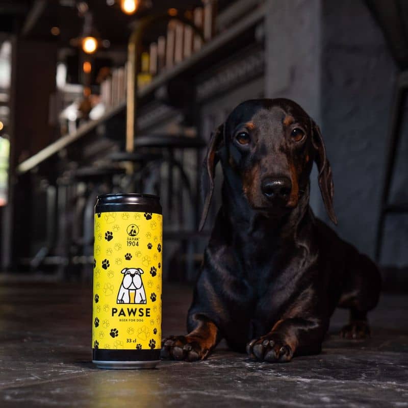 Hundöl - alkohol - fri och gasdryck 🍺