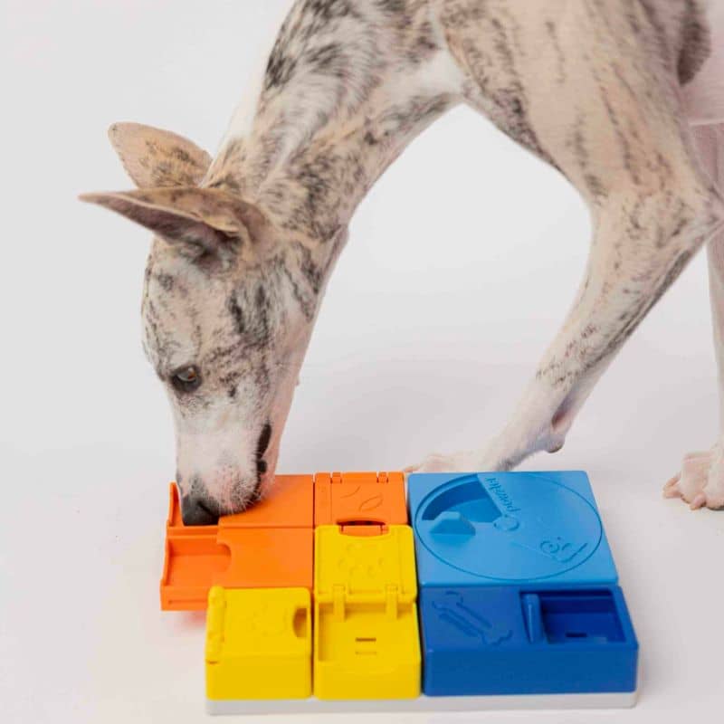 Puzzle Intéractif pour Chien - Stimulation Mentale et Amusante avec le Rainbow Set par Pawzler