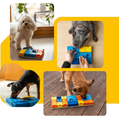 Puzzle Intéractif pour Chien - Stimulation Mentale et Amusante avec le Rainbow Set par Pawzler