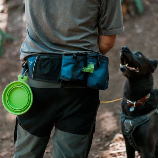 Köpek Yürüyüş Kemeri - Fonksiyonel cepli lacivert