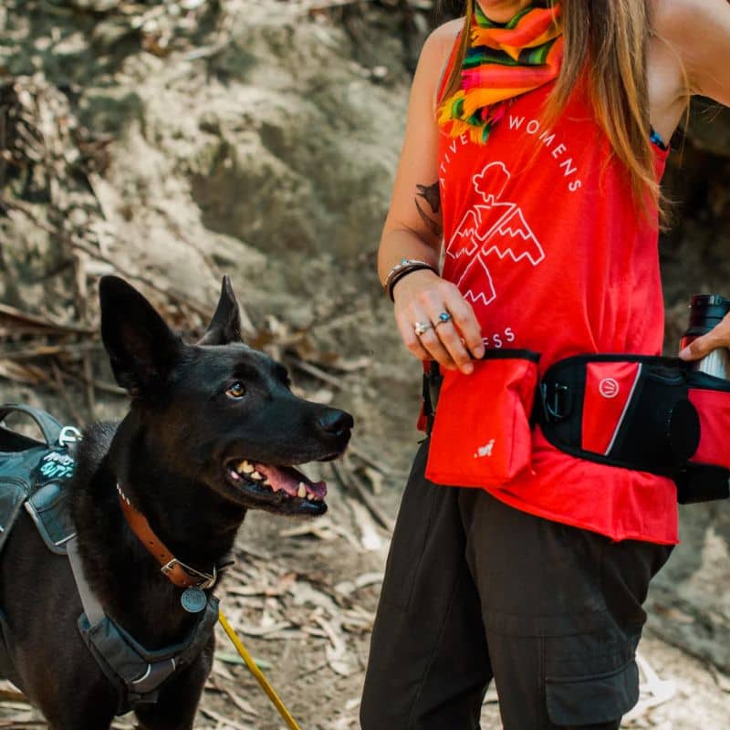 Cintura escursionistica multifunzionale rossa per passeggiate con cane - P.L.A.Y.